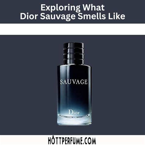 sauvage dior uscita|what does dior sauvage smell like.